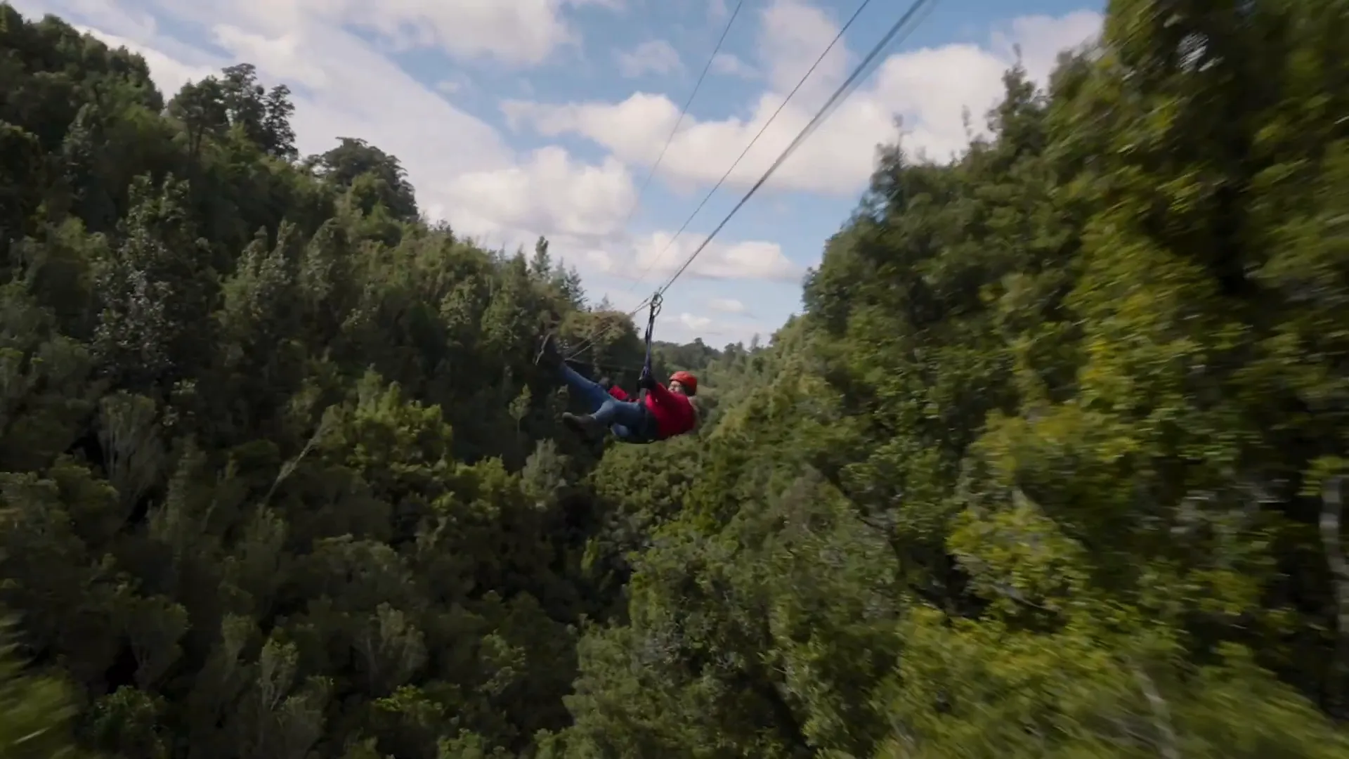 Ziplining through Rotorua's ancient forest