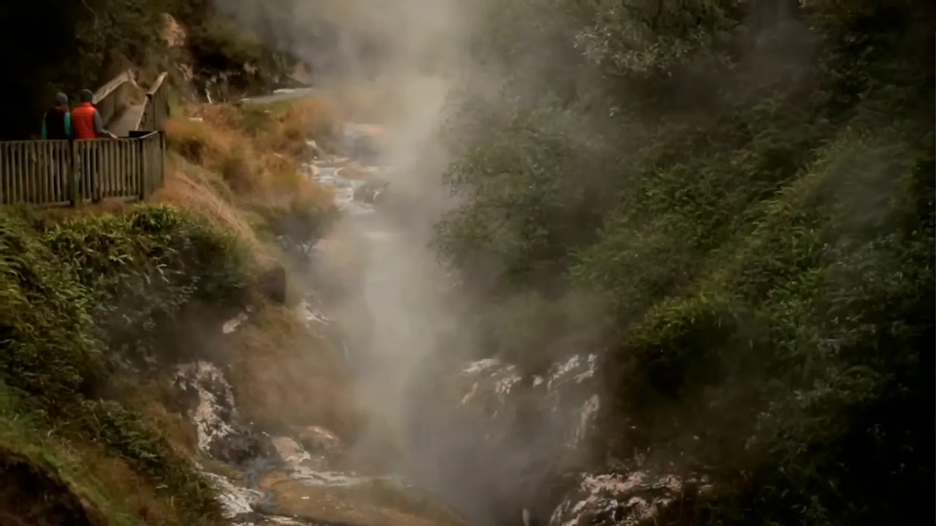 Steaming craters in Waimangu Valley