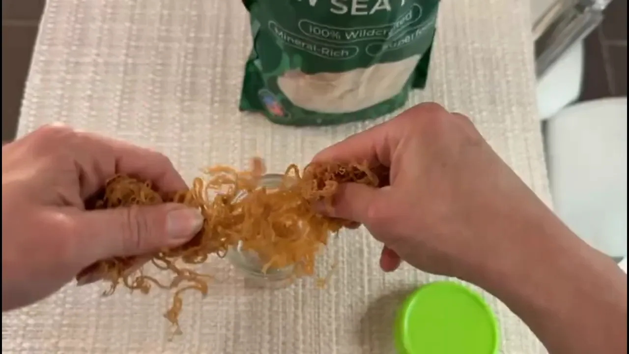 Hands separating soaked raw Irish sea moss inside a jar
