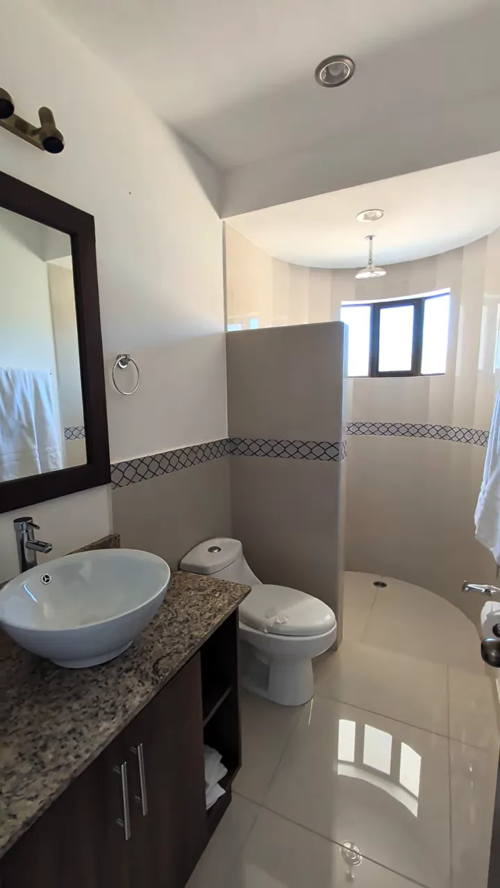 Second bathroom with vessel sink, dark vanity, toilet, and partitioned tiled shower
