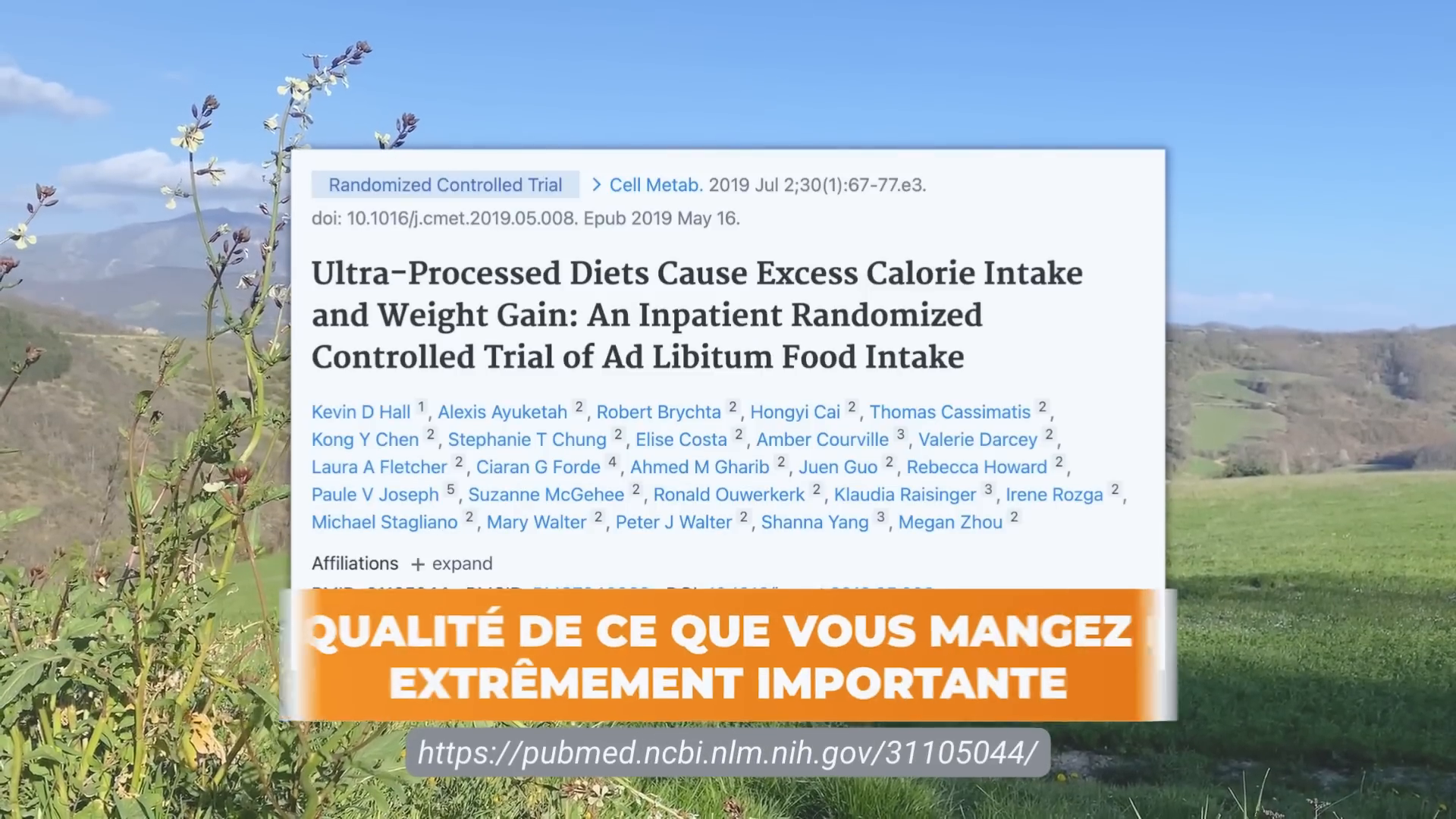 Aliments non transformés