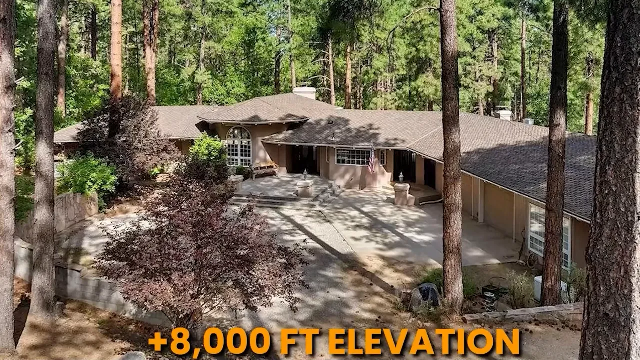 House nestled in dense pine forest with driveway and overlay text '+8,000 FT ELEVATION'.