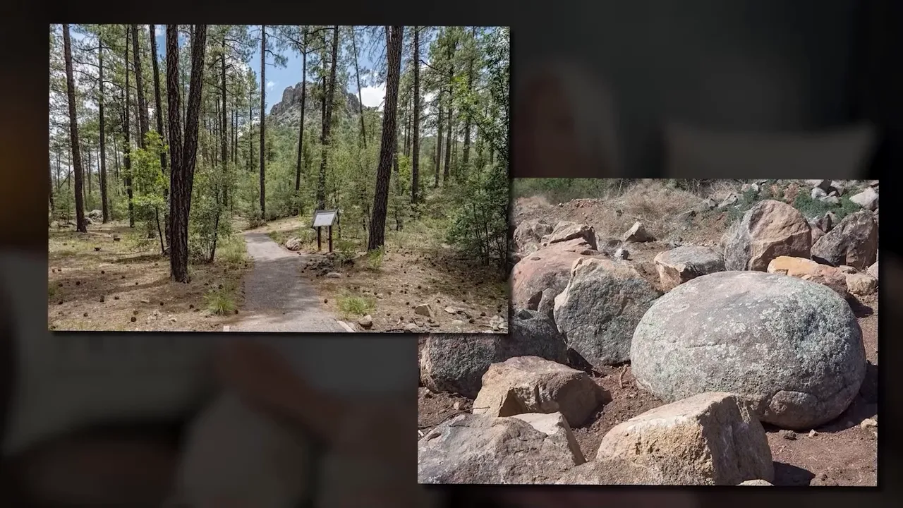 Forest trail among pine trees with granite boulders in Prescott area