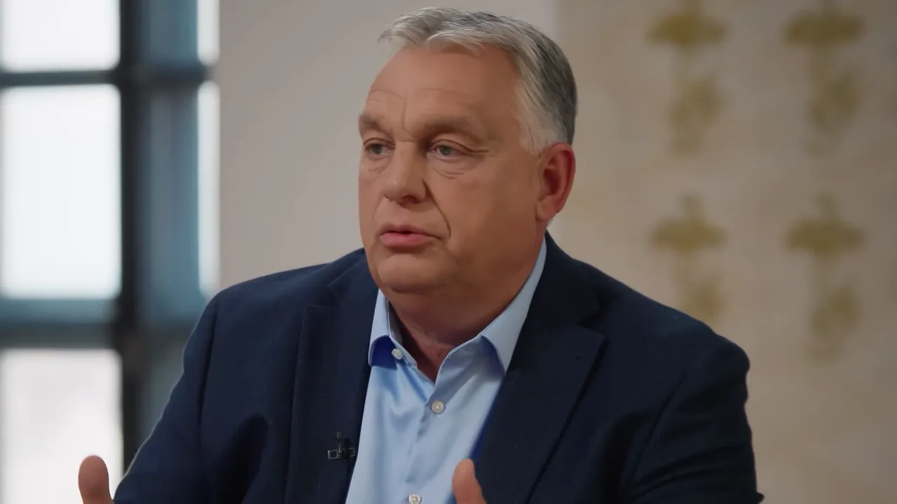 Clear studio shot of an interview subject explaining a point with hands visible