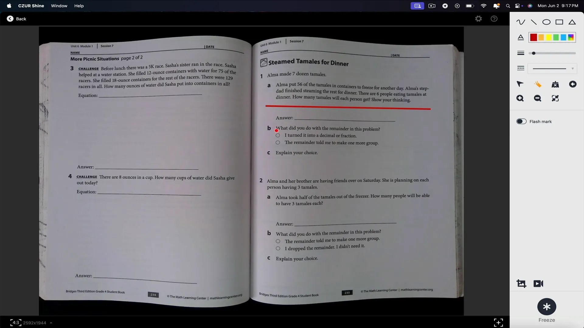 Visual presenter interface showing live document feed and annotation tools