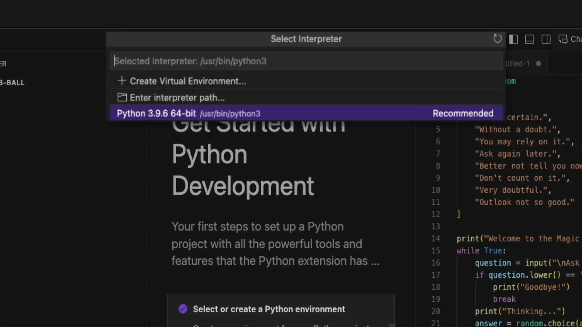 Selecting Python interpreter in CodeLLM