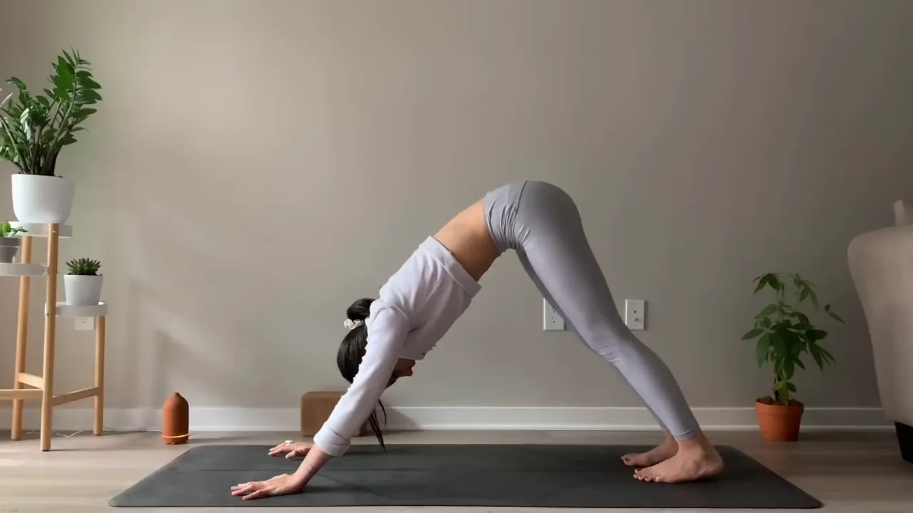 Downward Facing Dog position