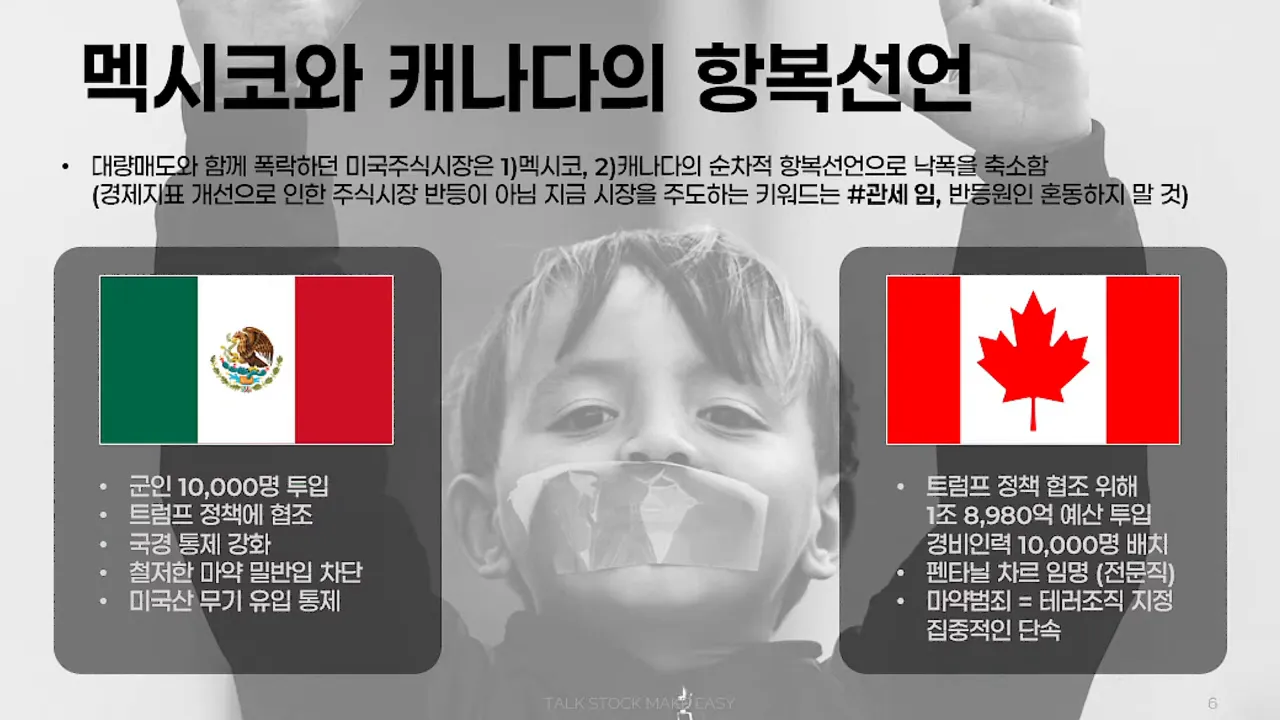 Mexico and Canada's response to tariffs