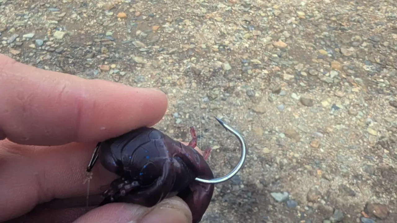 A hand holding a dark reddish creature bait with a large curved hook exposed