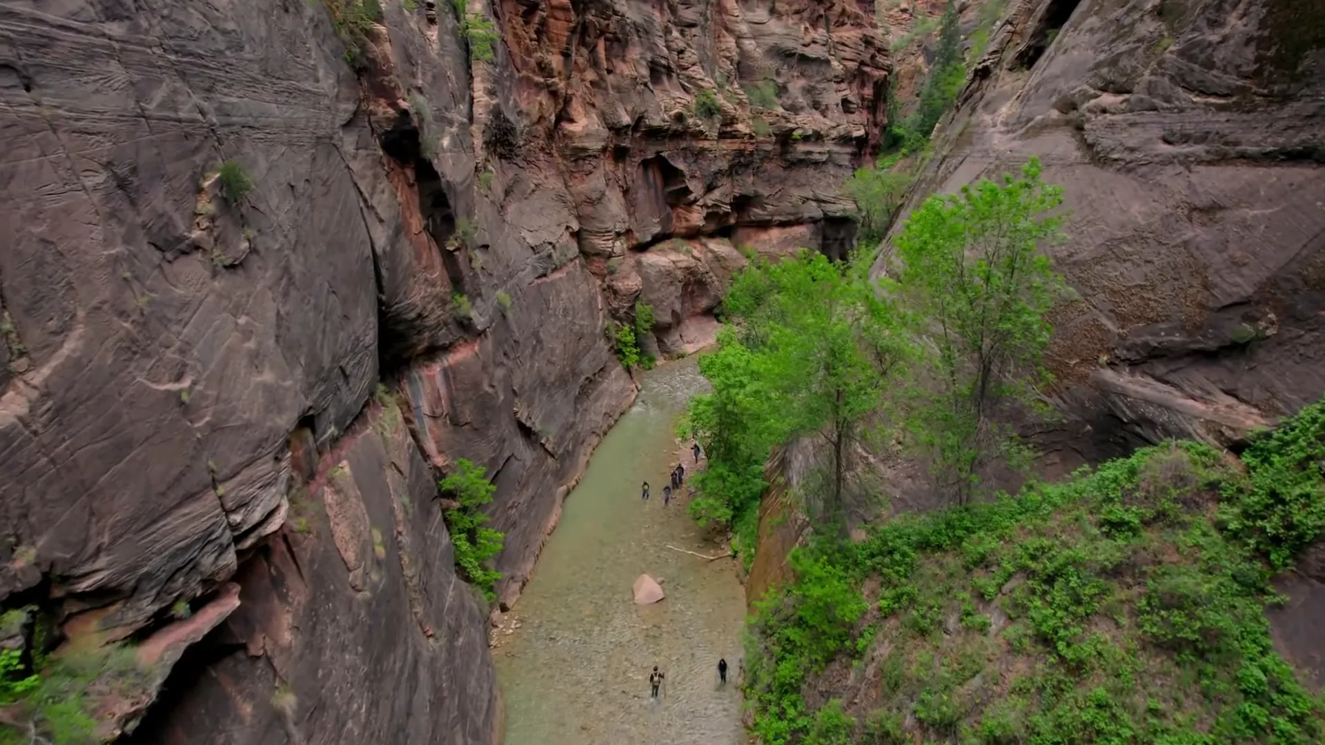 Massive sandstone cliffs in Zion National Park