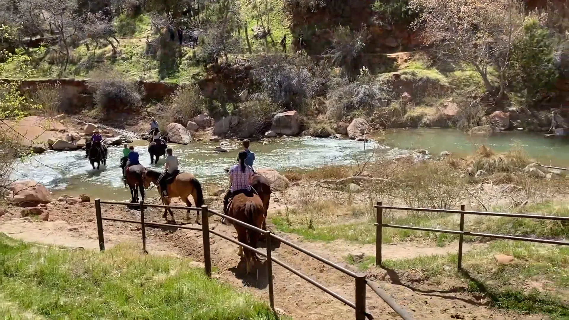 Family horseback riding through a stream in Zion