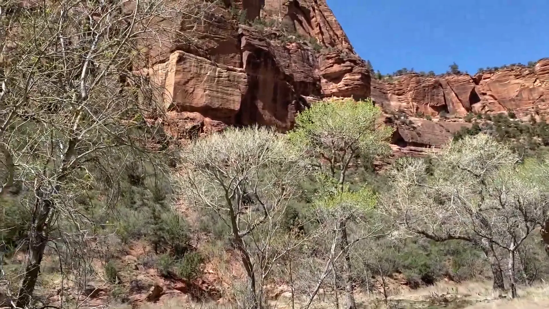 View from Scout Lookout on the Angels Landing trail