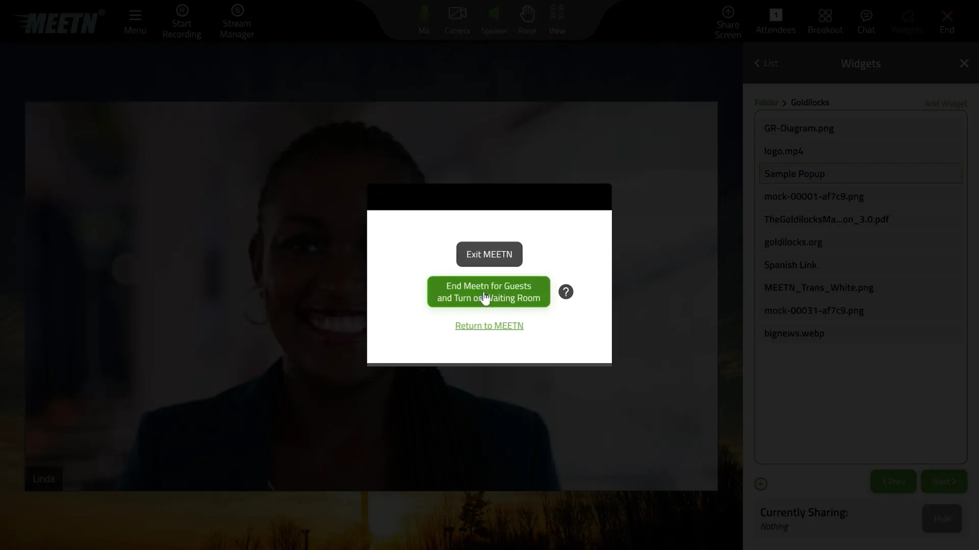 Meetn hosting a large webinar with thousands of attendees