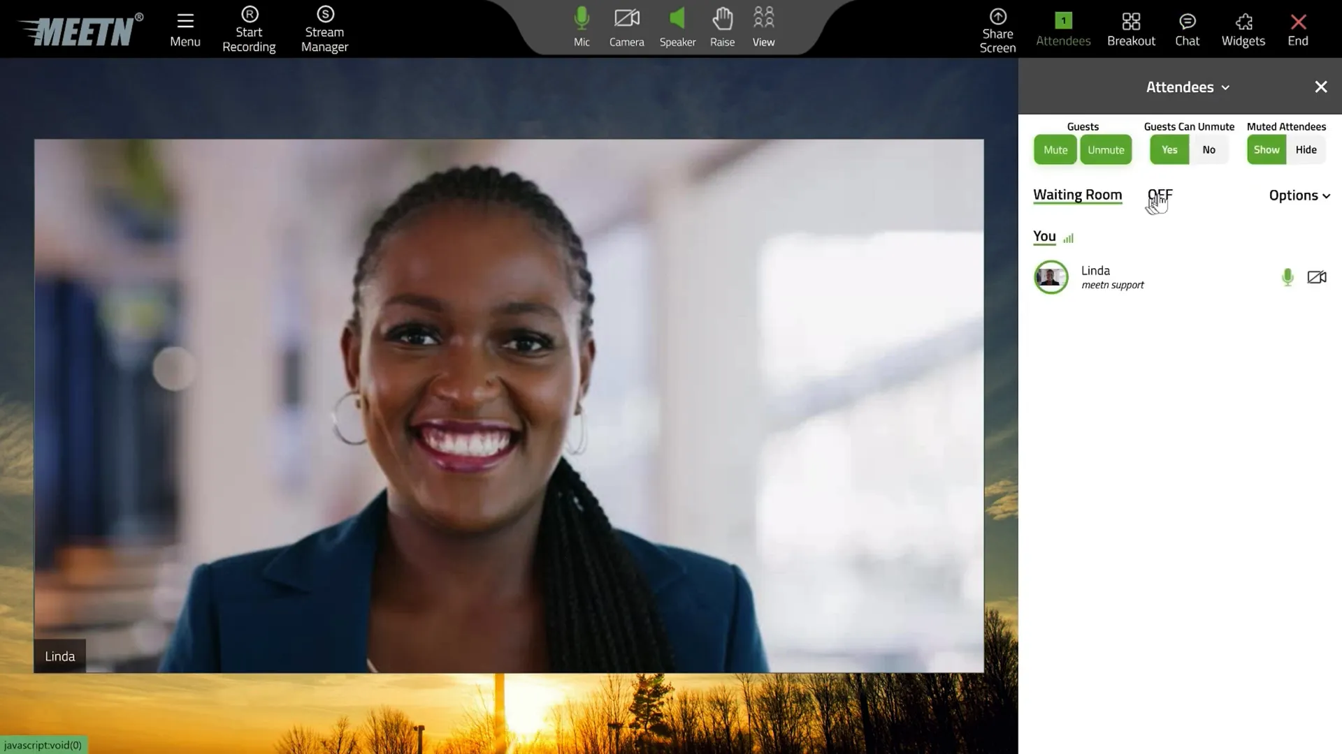 Screen sharing and speaker controls in Meetn