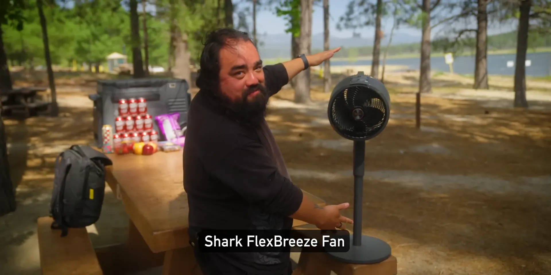 Shark FlexBreeze Portable Fan