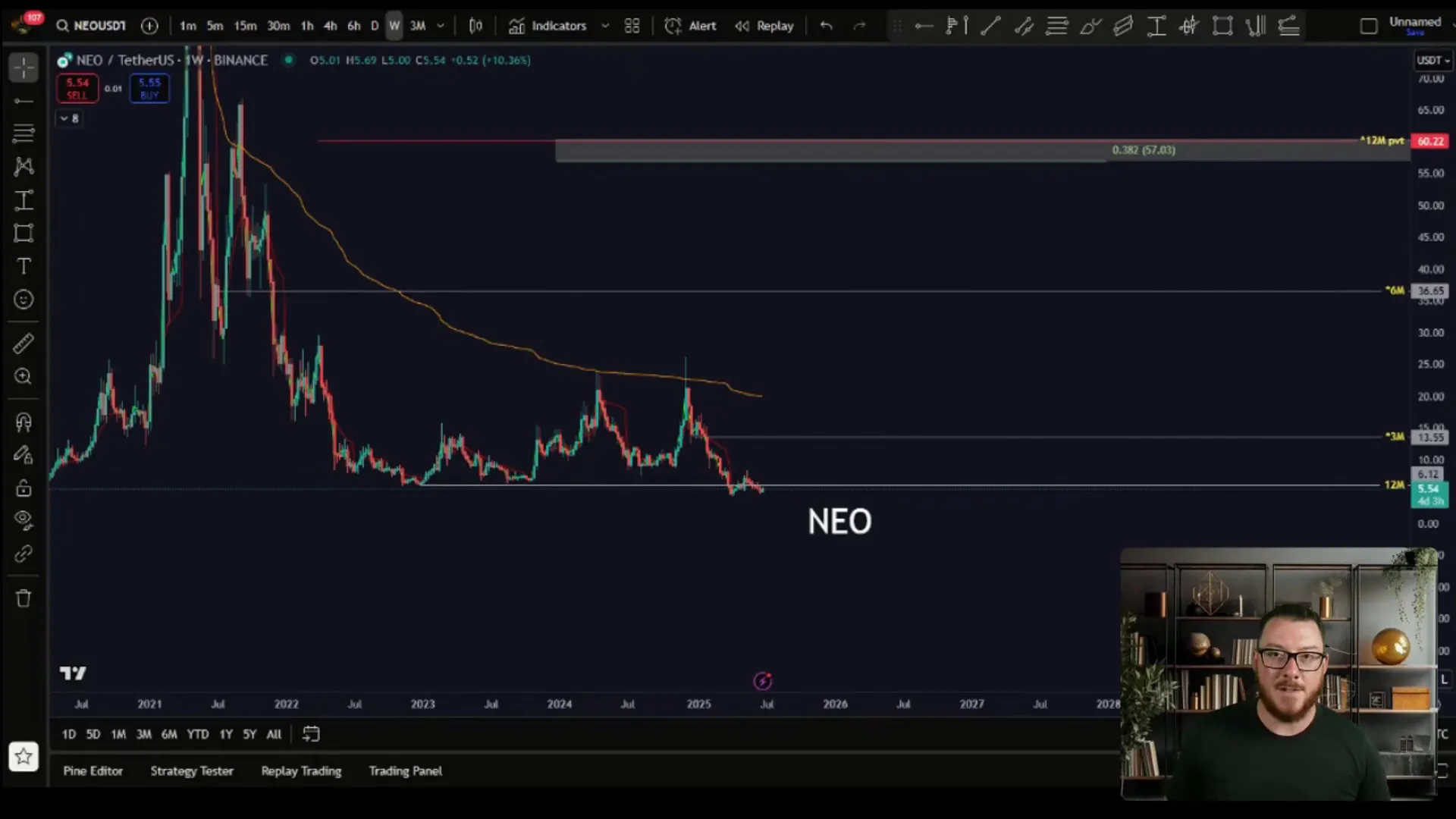 NEO ecosystem overview with developer tools, DeFi apps, and AI integration