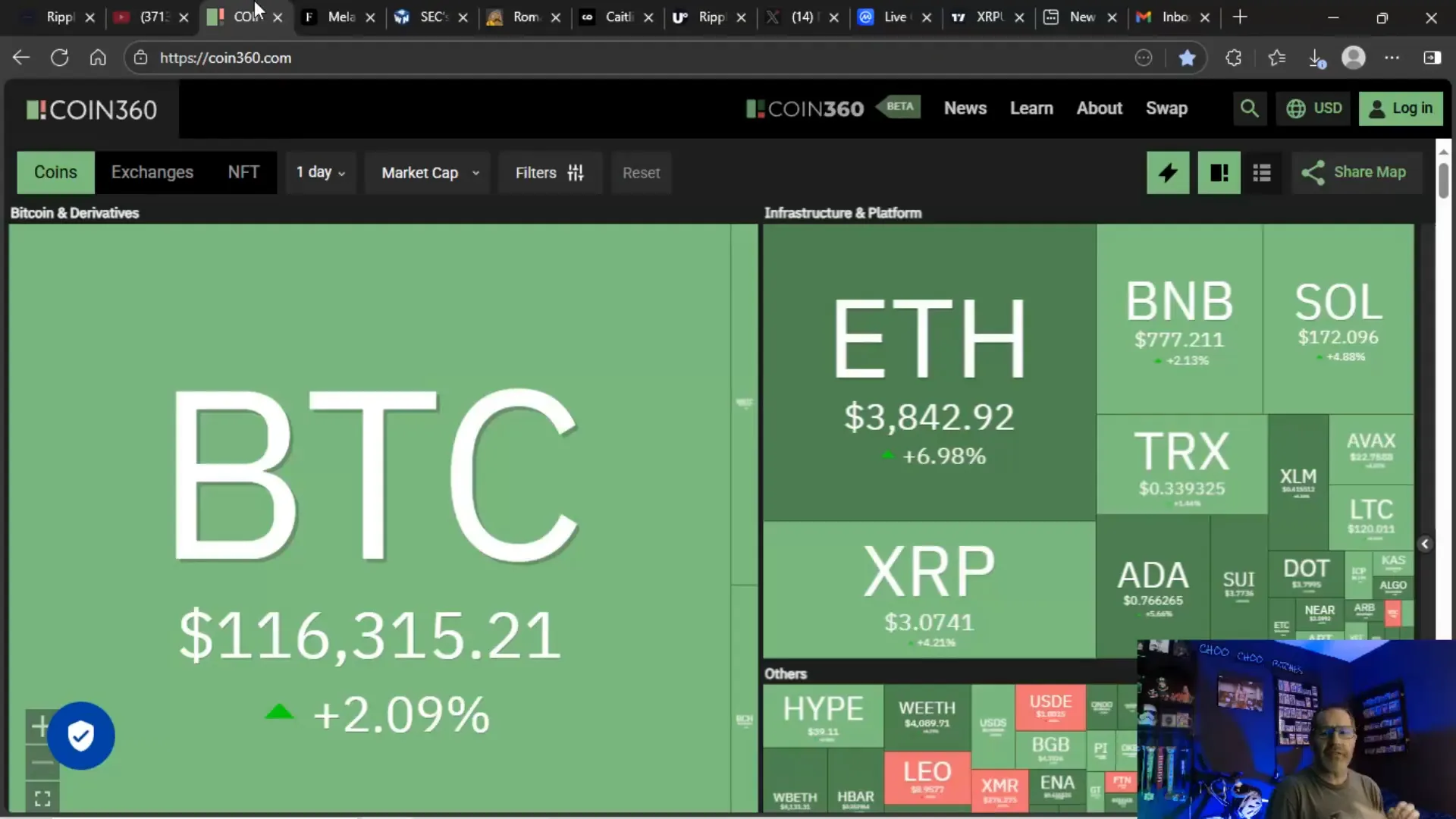 Green crypto price chart with homemade bread for dogs