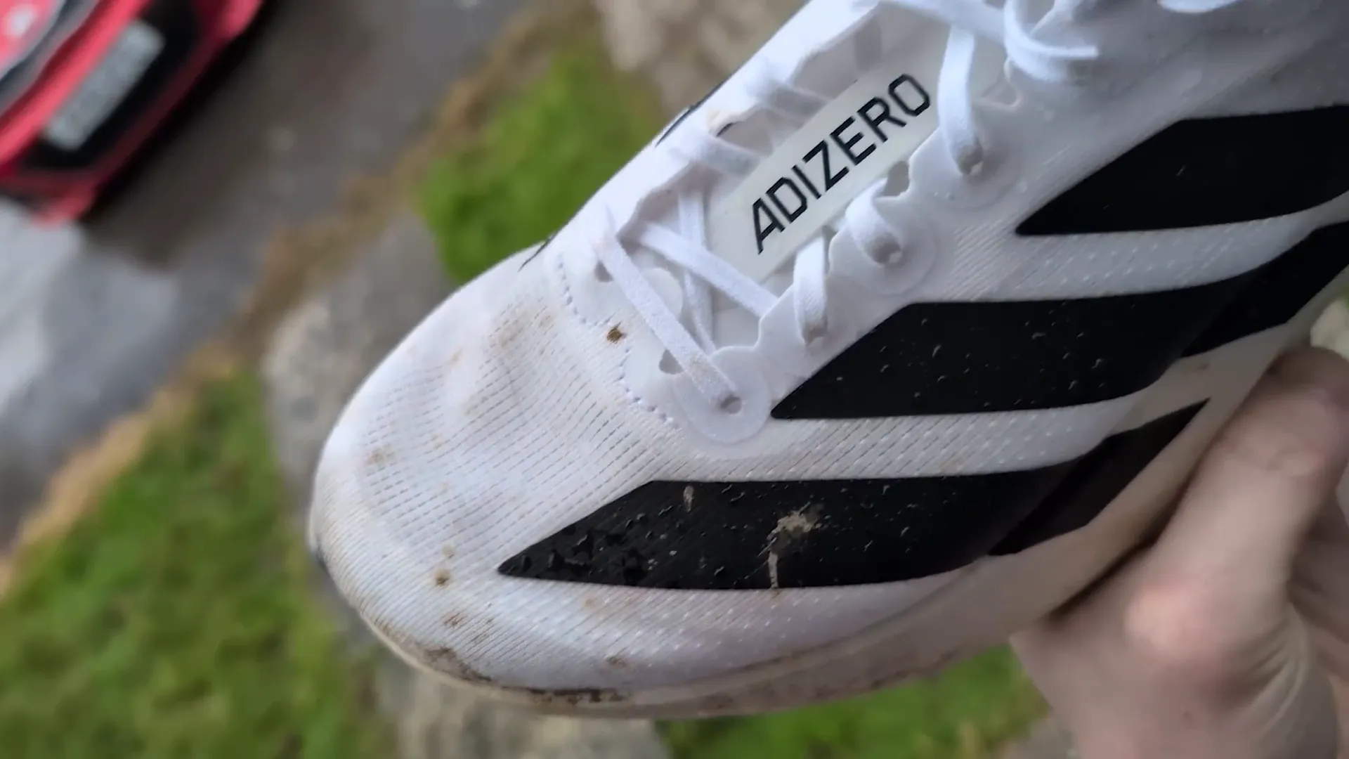 Adidas Adizero Evo SL on trail
