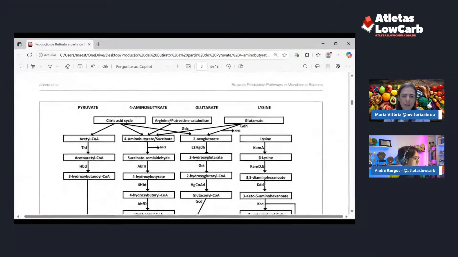 Fontes alternativas de butirato para o intestino