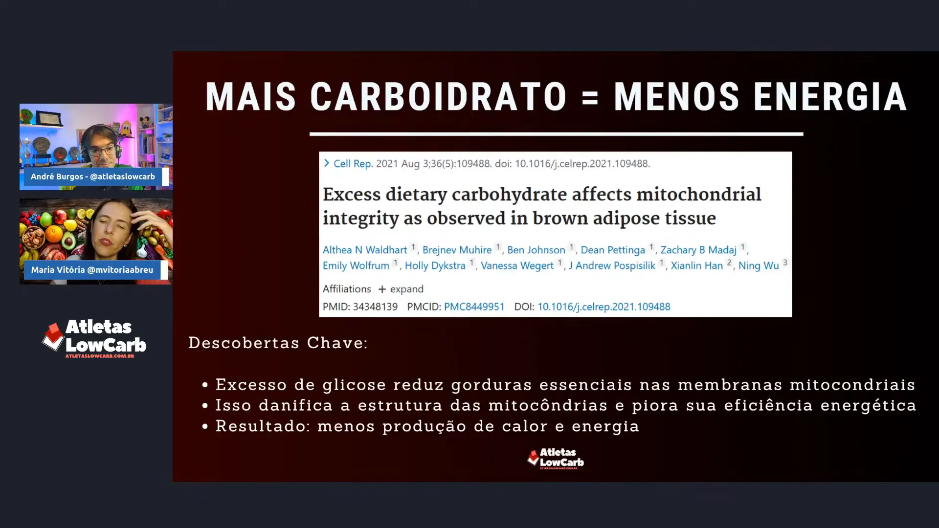 Resumo final: excesso de glicose, estresse oxidativo e perda de eficiência energética