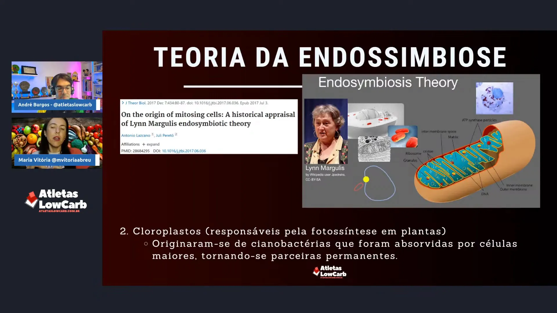 Ligação entre lesão mitocondrial, fermentação e câncer (Warburg)