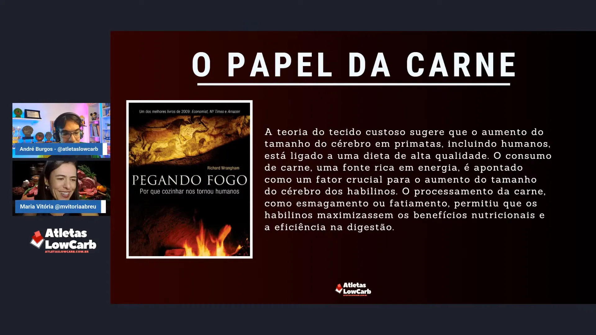 Infográfico sobre absorção de nutrientes da carne