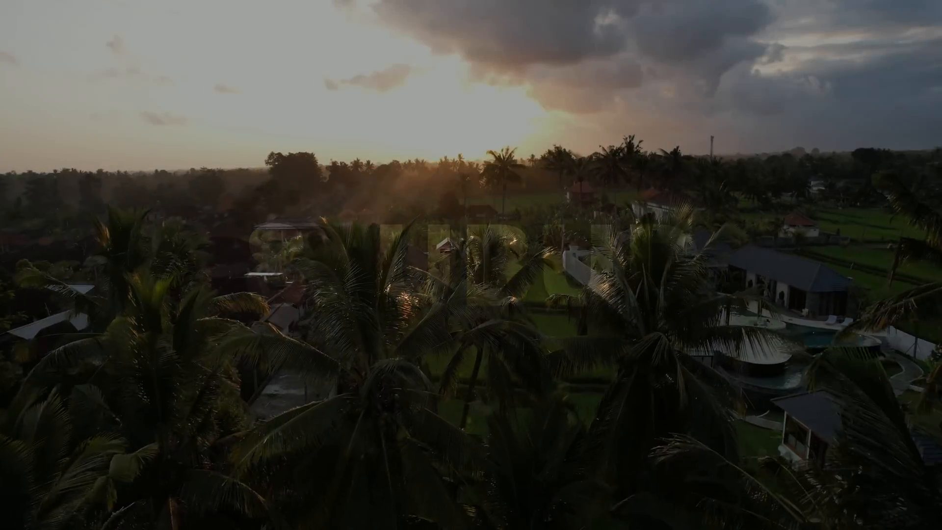 Ubud Rice Fields