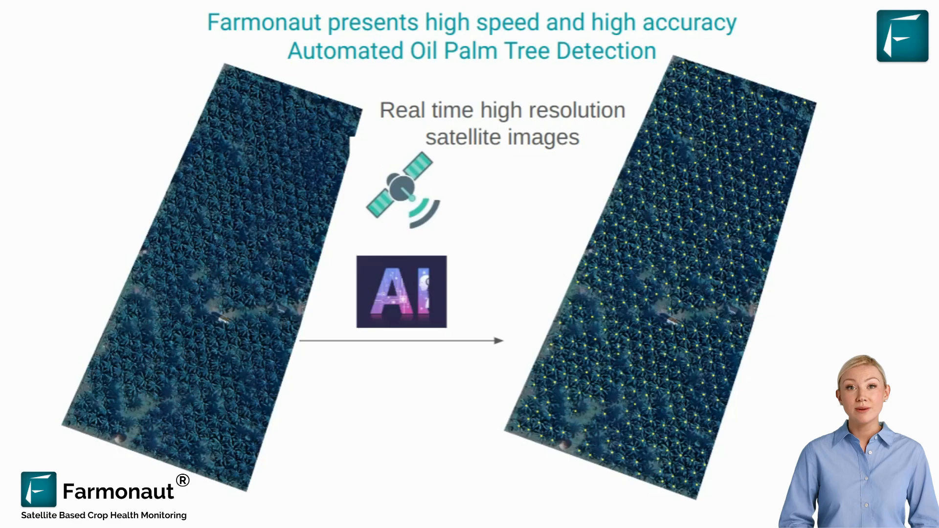 Revolutionizing Palm Tree Plantation Management: AI-Powered Detection and Mapping 3 Satellite imagery of palm tree plantation