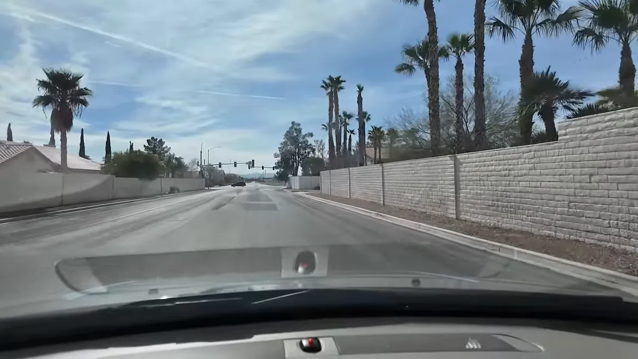 Road view in Las Vegas Section 10 showing palm trees and long stretch of custom-home lots