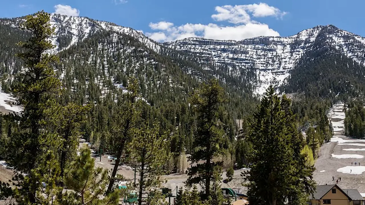 Snow-dusted mountains and a ski slope with evergreen trees under a blue sky
