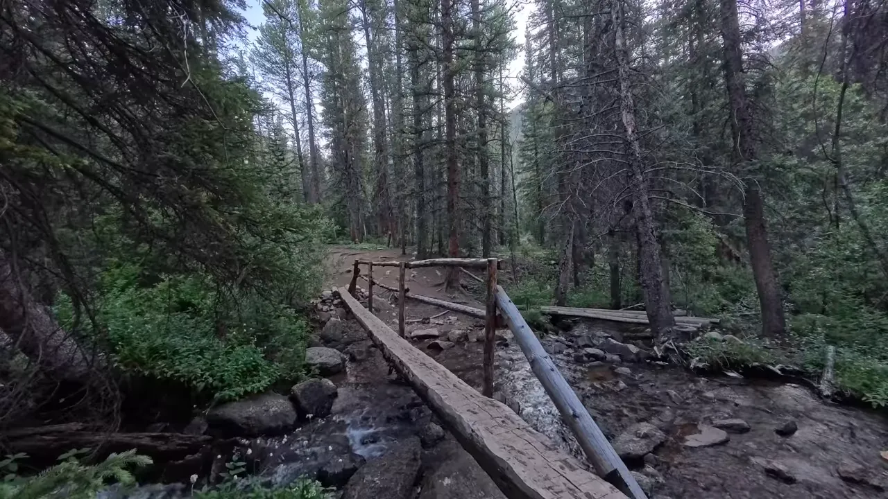 Narrow wooden footbridge crossing a rocky creek in a conifer forest