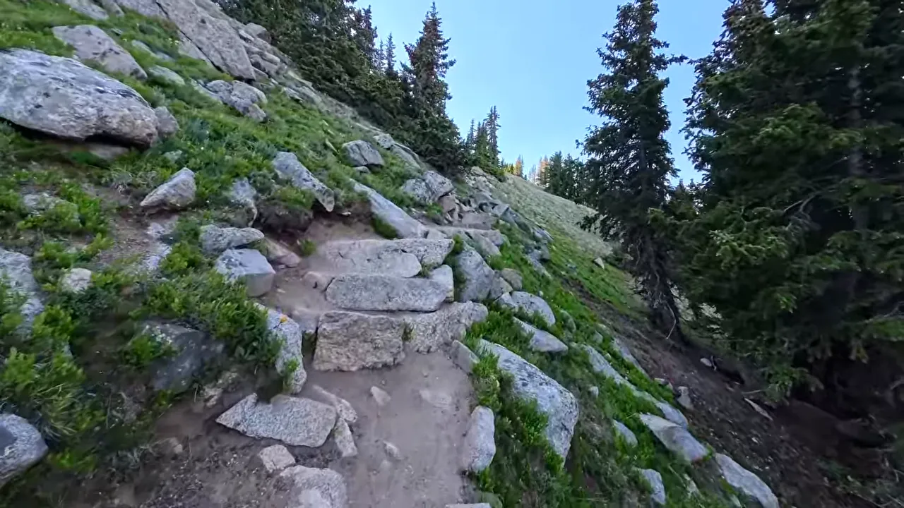Stone steps climbing a narrow trail across a rocky slope beside evergreen trees