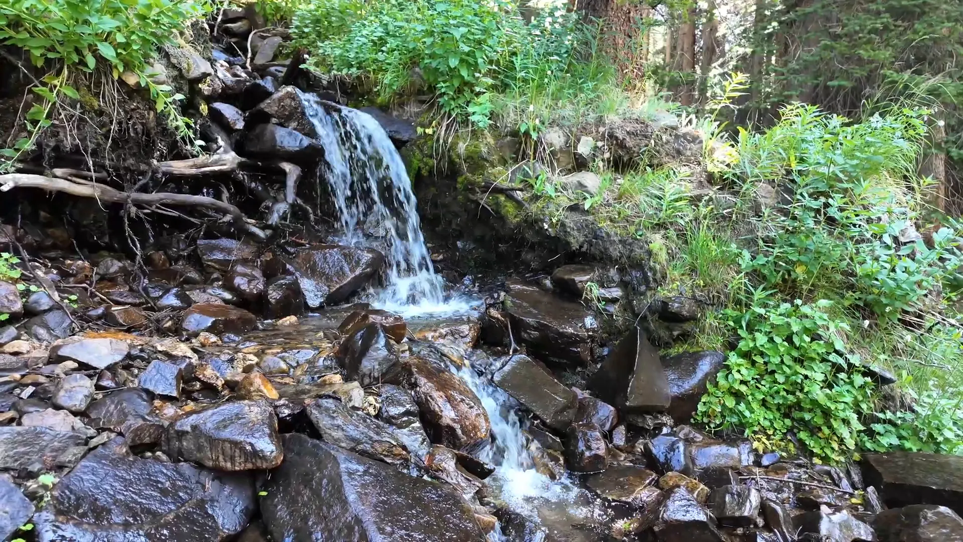 Waterfall on Geneva Creek