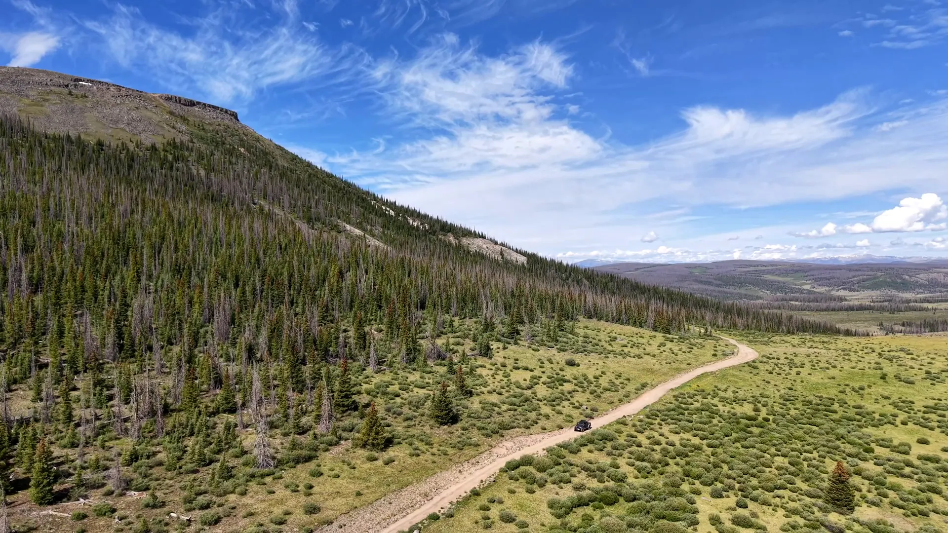 Fields of wildflowers and long vista near Creede Colorado