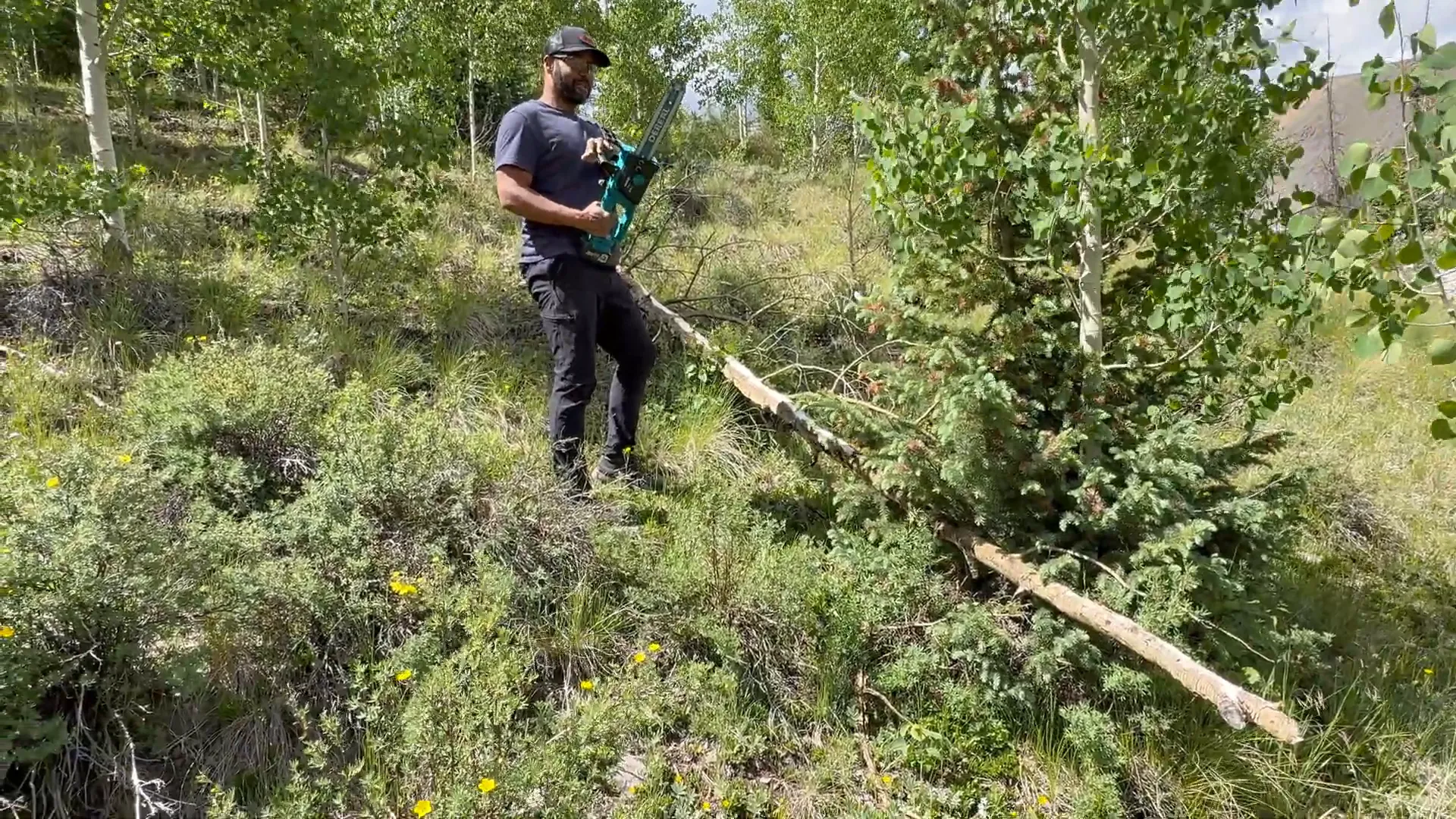 Using a small chainsaw to cut a fallen tree