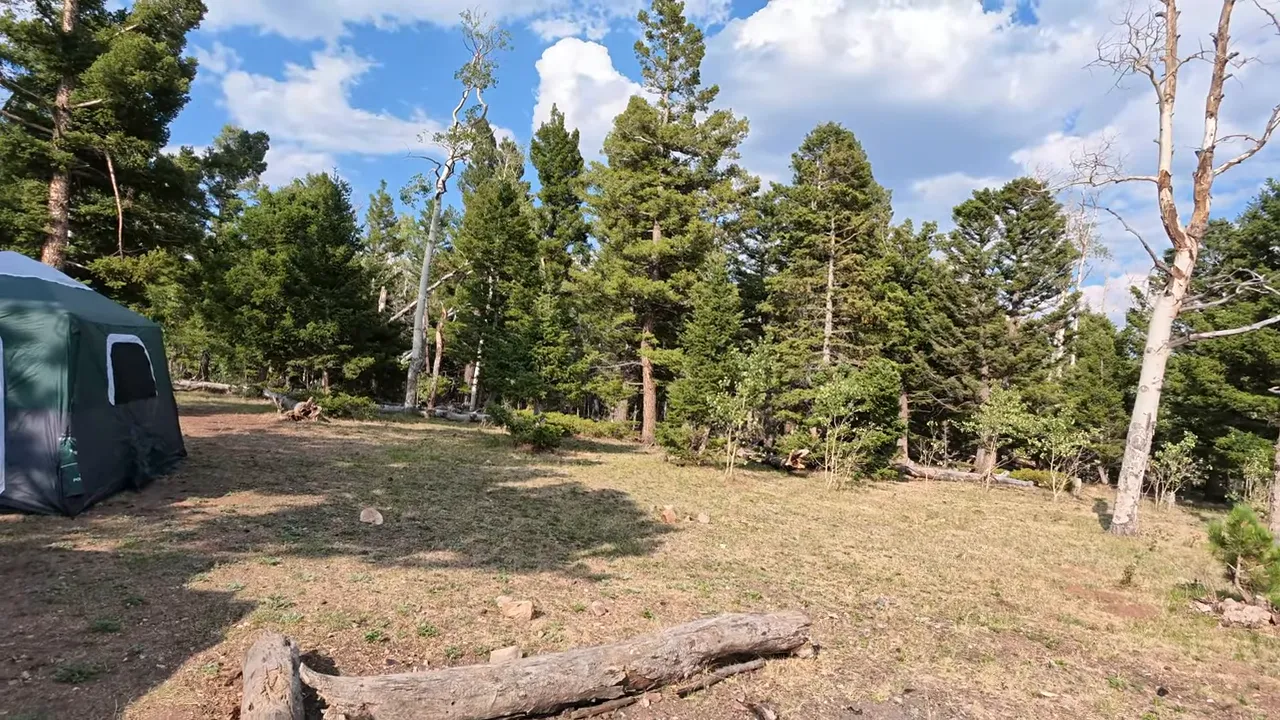 Open campsite with a green tent at the left and trees around a broad clearing