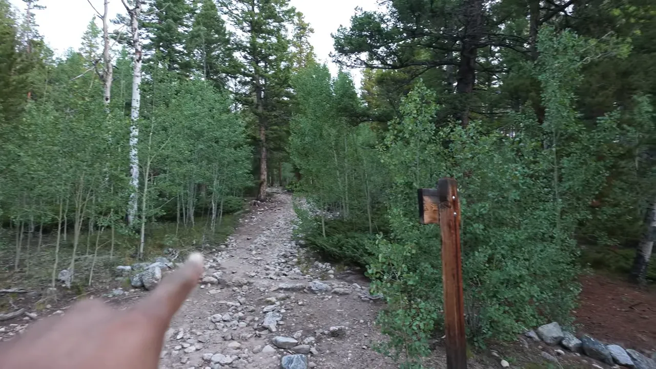 A hand pointing toward a rocky uphill trail beside a wooden post in an aspen forest