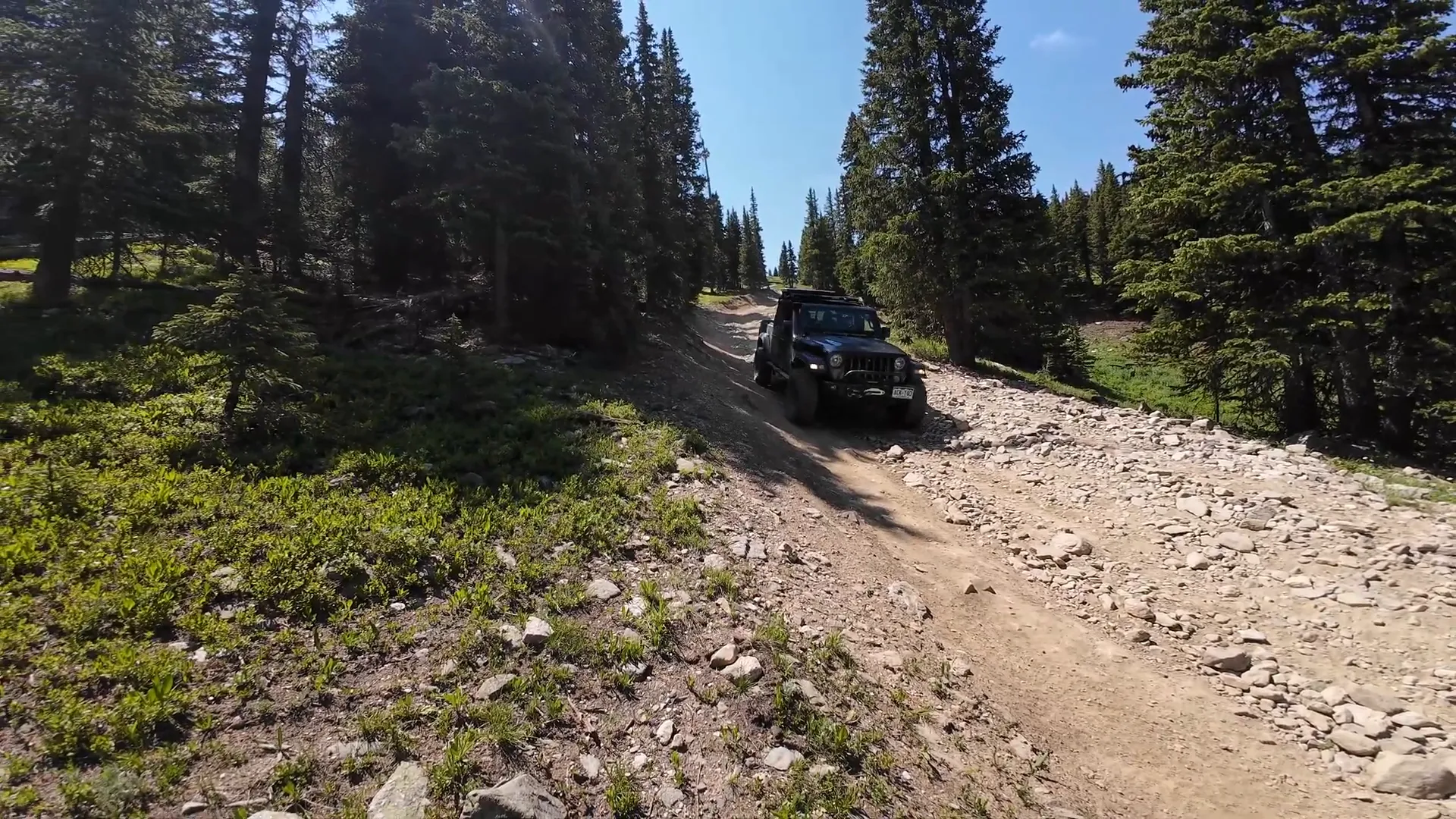 Narrow trail on the descent from Georgia Pass
