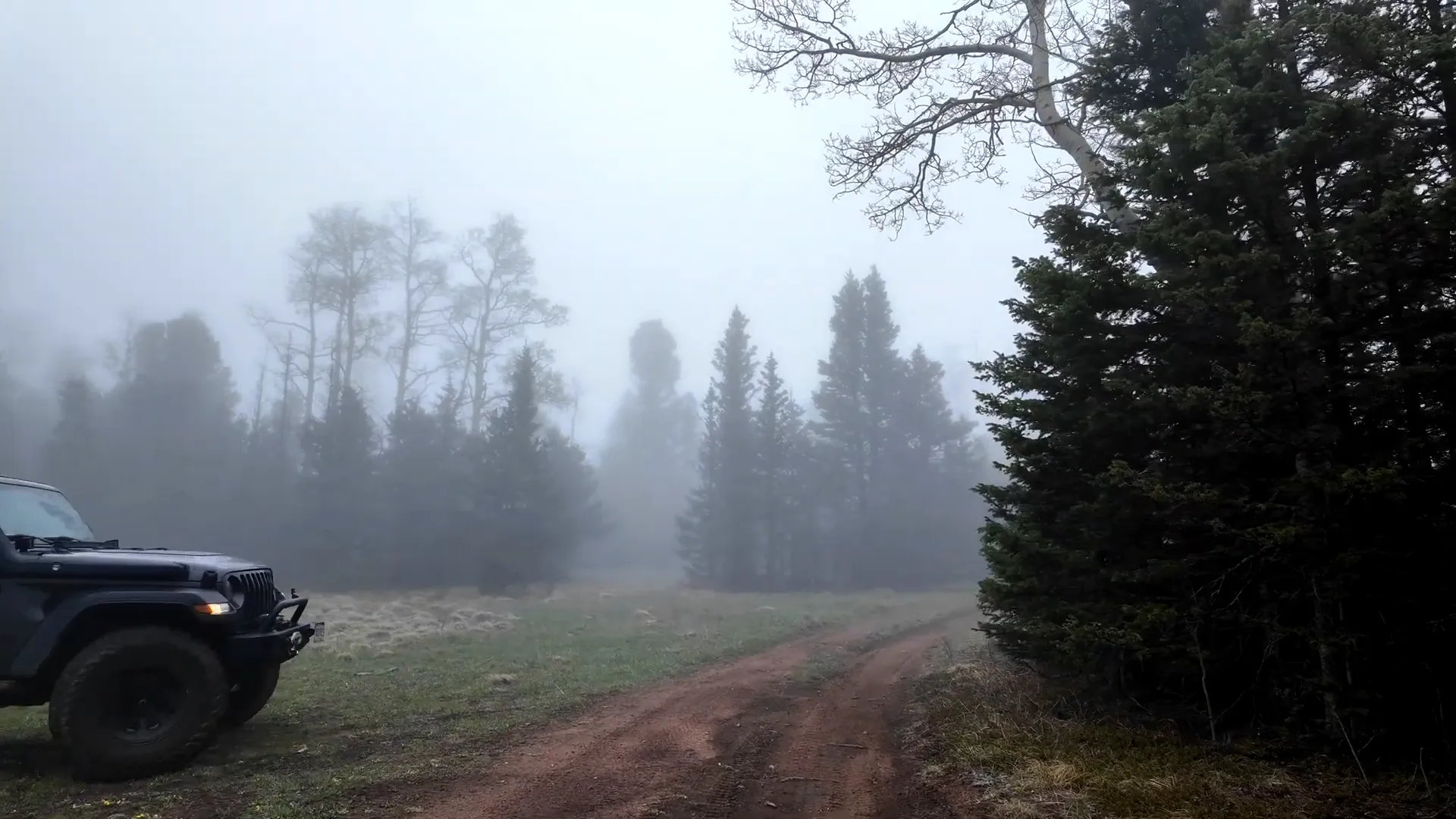 Foggy trail view on Holt Mountain