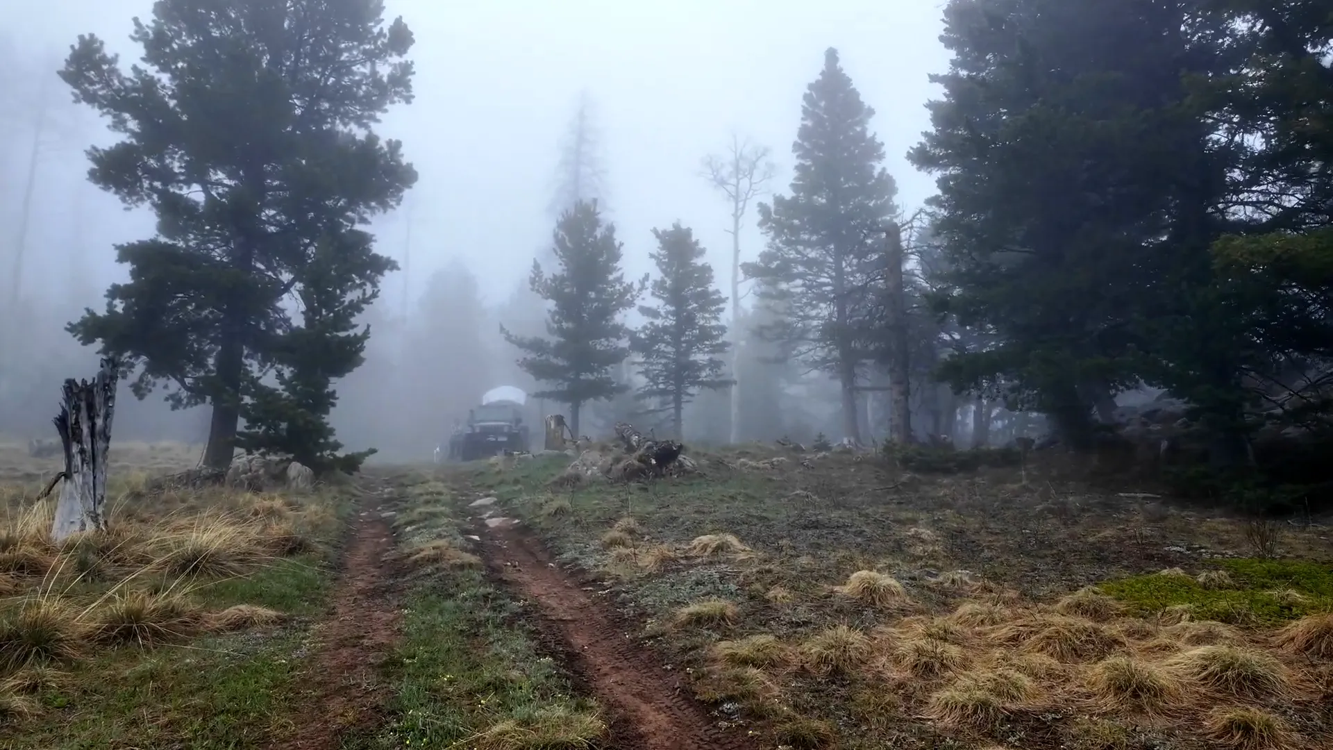 Campsite at Holt Mountain Trail with hunting signs