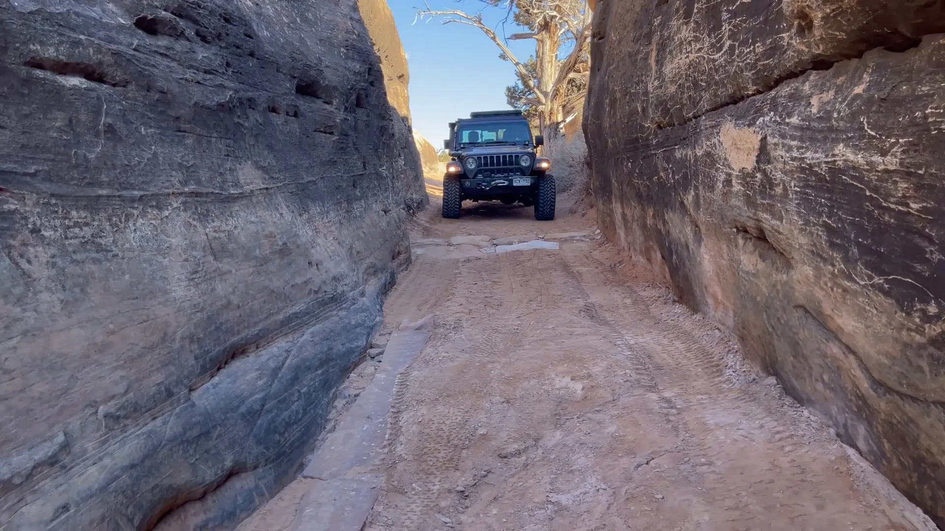 Navigating through obstacles on Elephant Hill