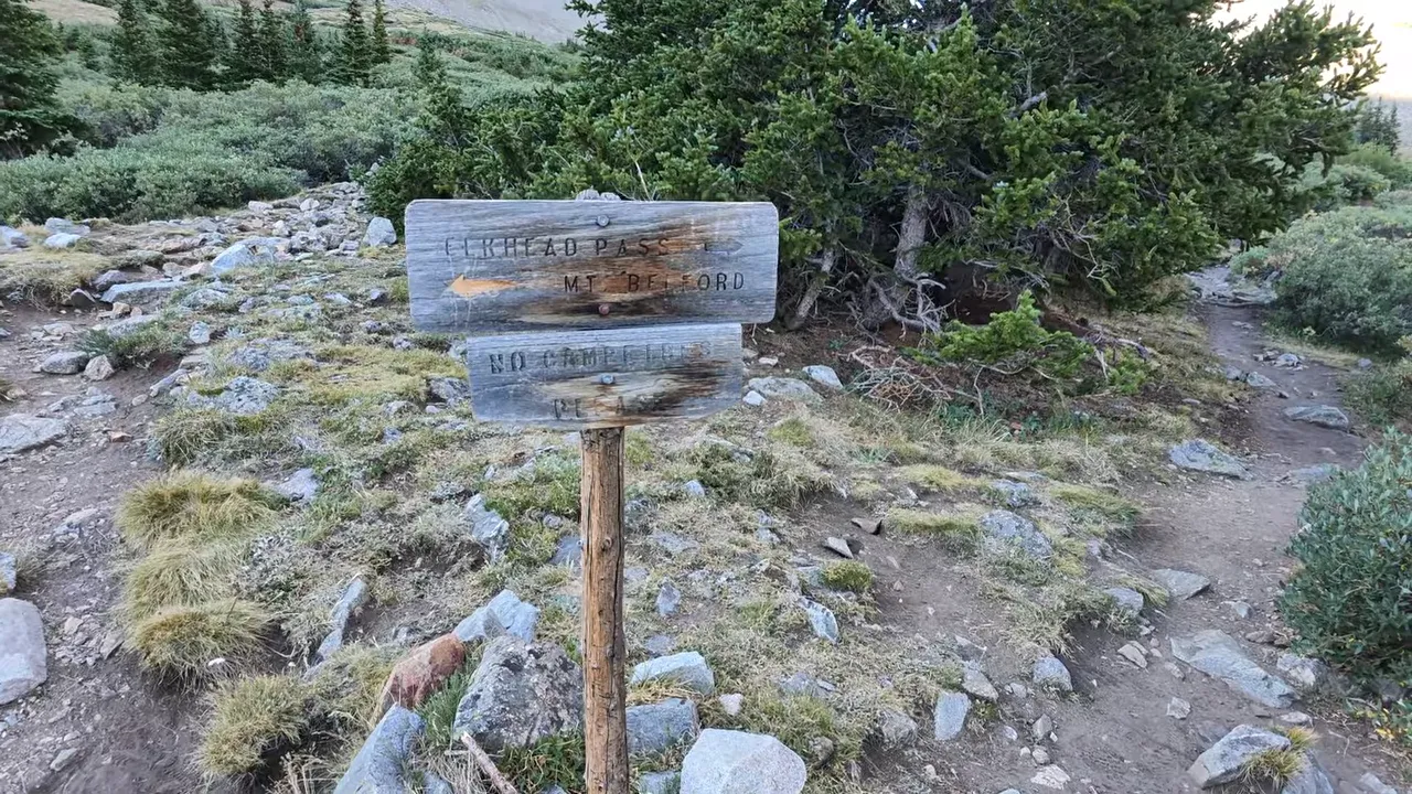 Weathered wooden trail junction sign beside branching paths and low shrubs