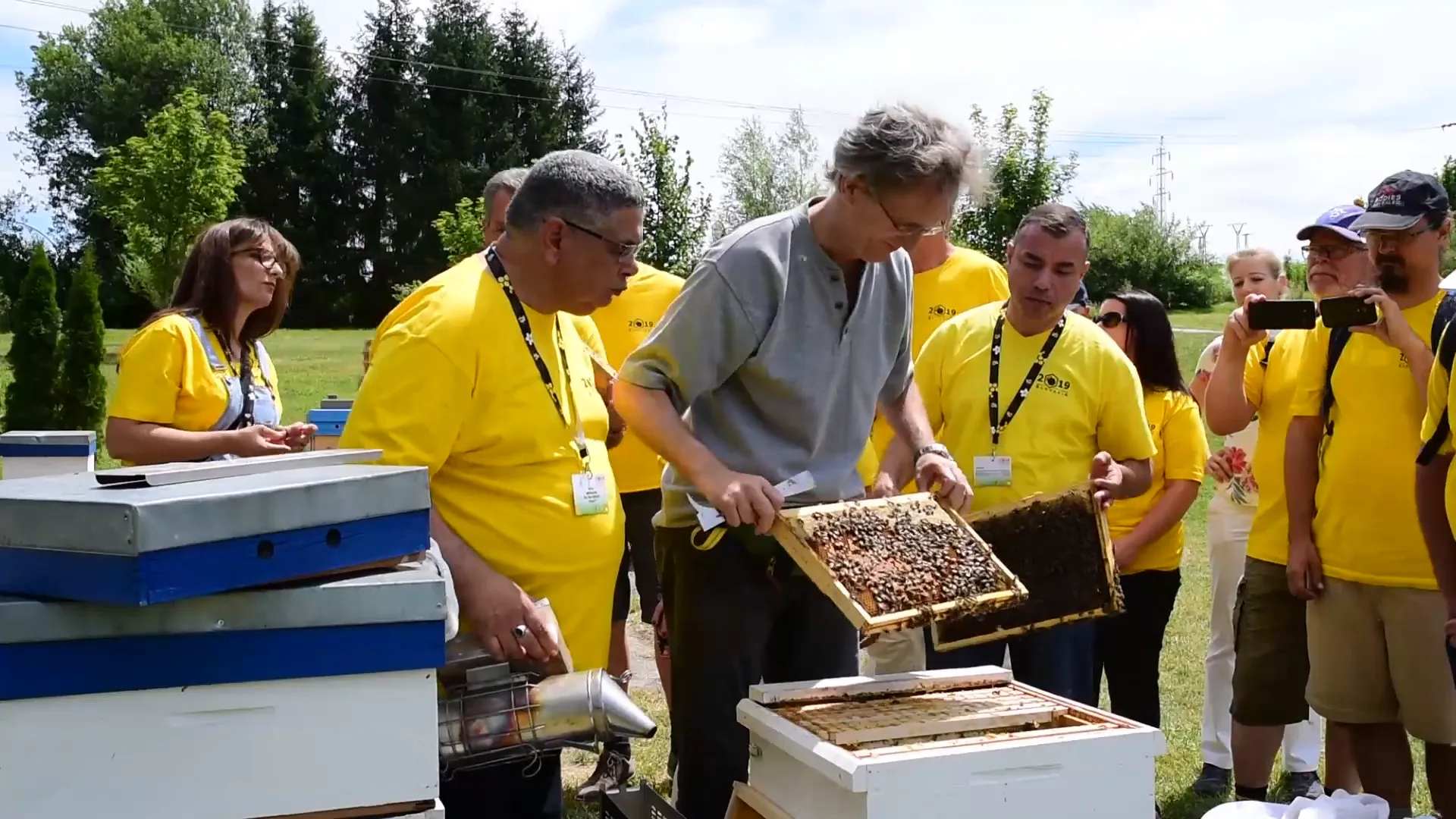 De koningin wordt in een kooi geplaatst; voorbereiding en beveiliging zijn cruciaal