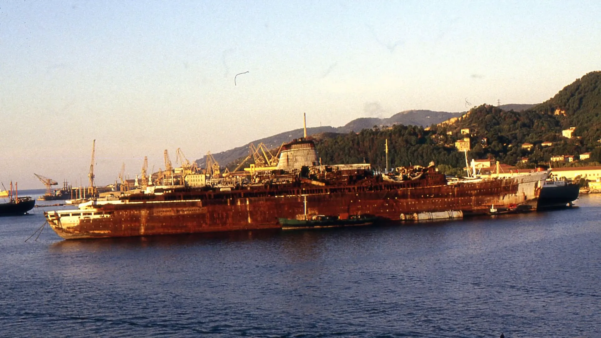 A memorial image representing the legacy of SS Leonardo da Vinci