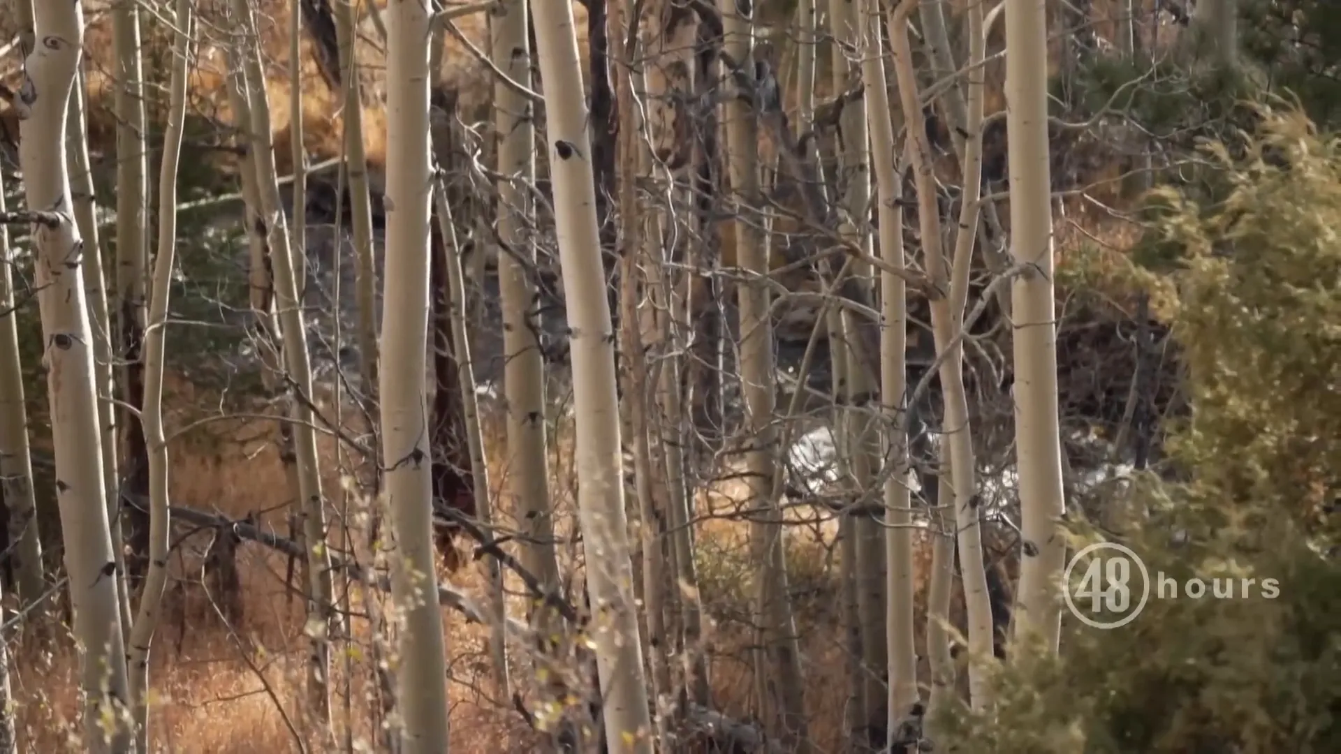 Mountain bike found at bottom of ravine