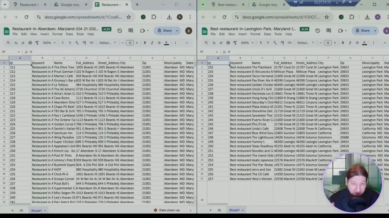 Leads Sniper scraping results and downloadable CSV/XLSX