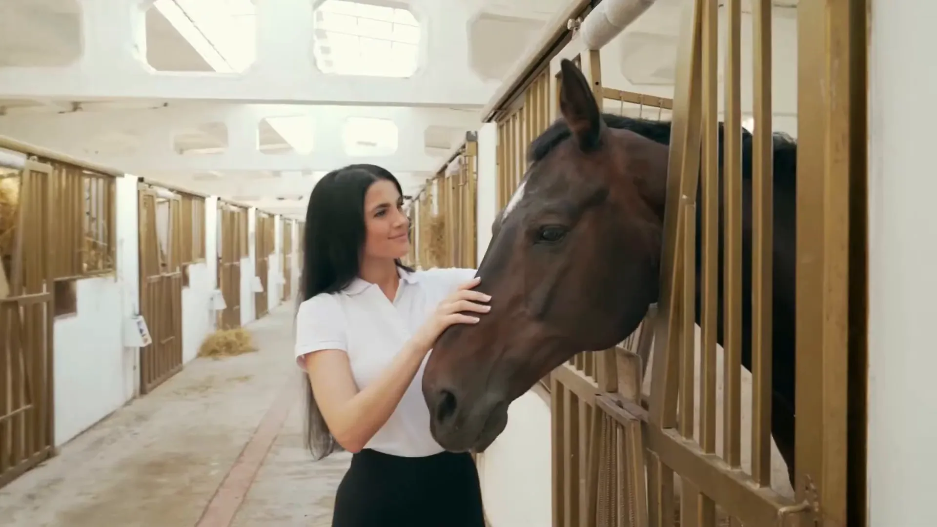 Horse in a stable representing limitations