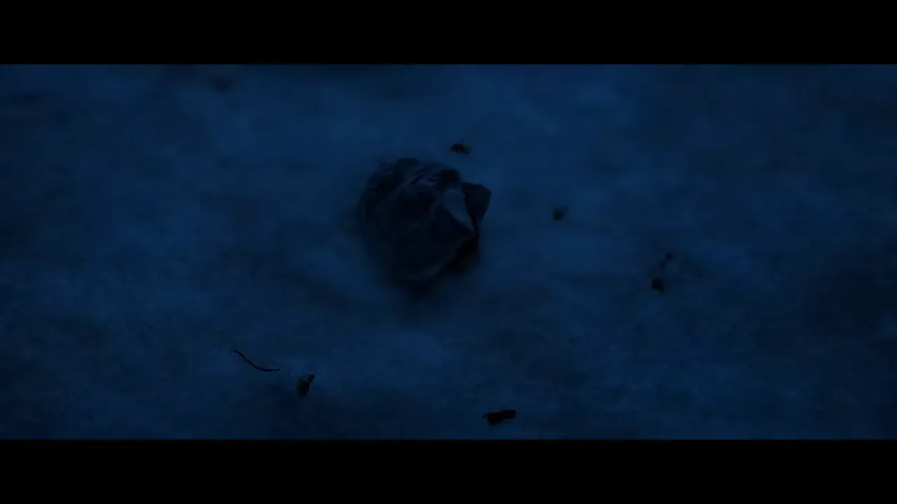 small dark remnant lying in snow at night, symbolic object left behind