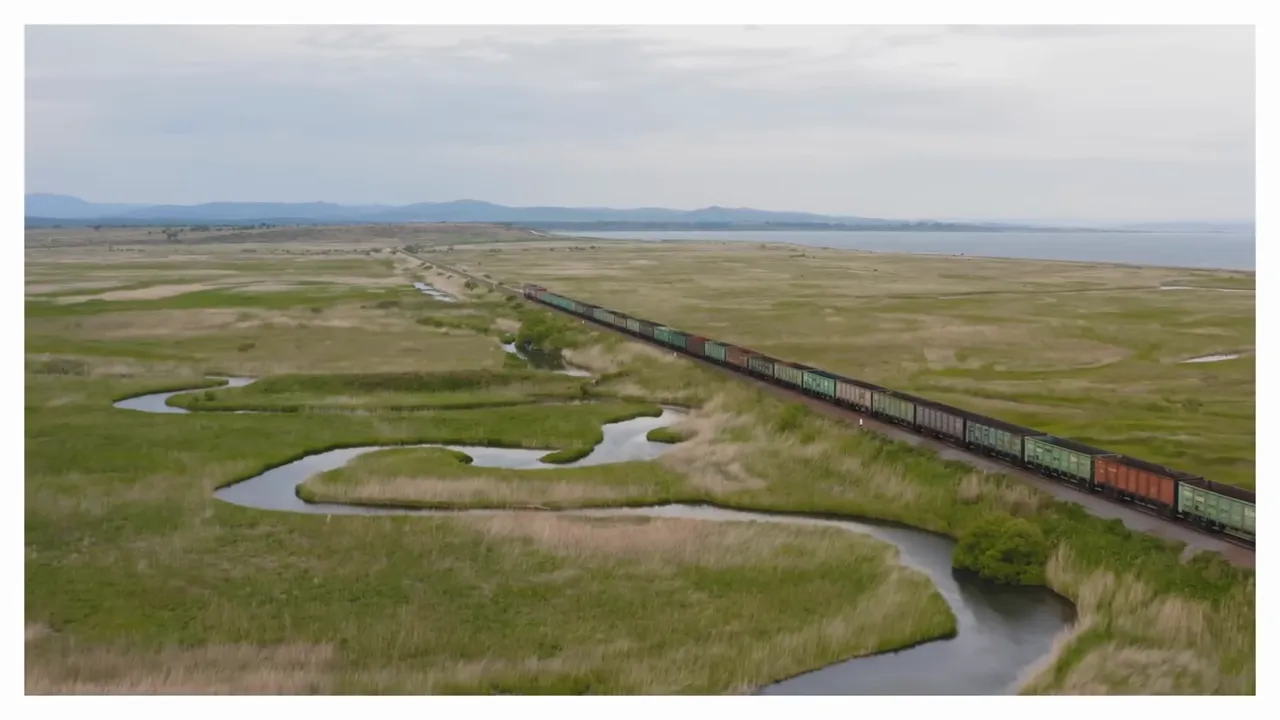 Long freight train moving across a flat marshy landscape
