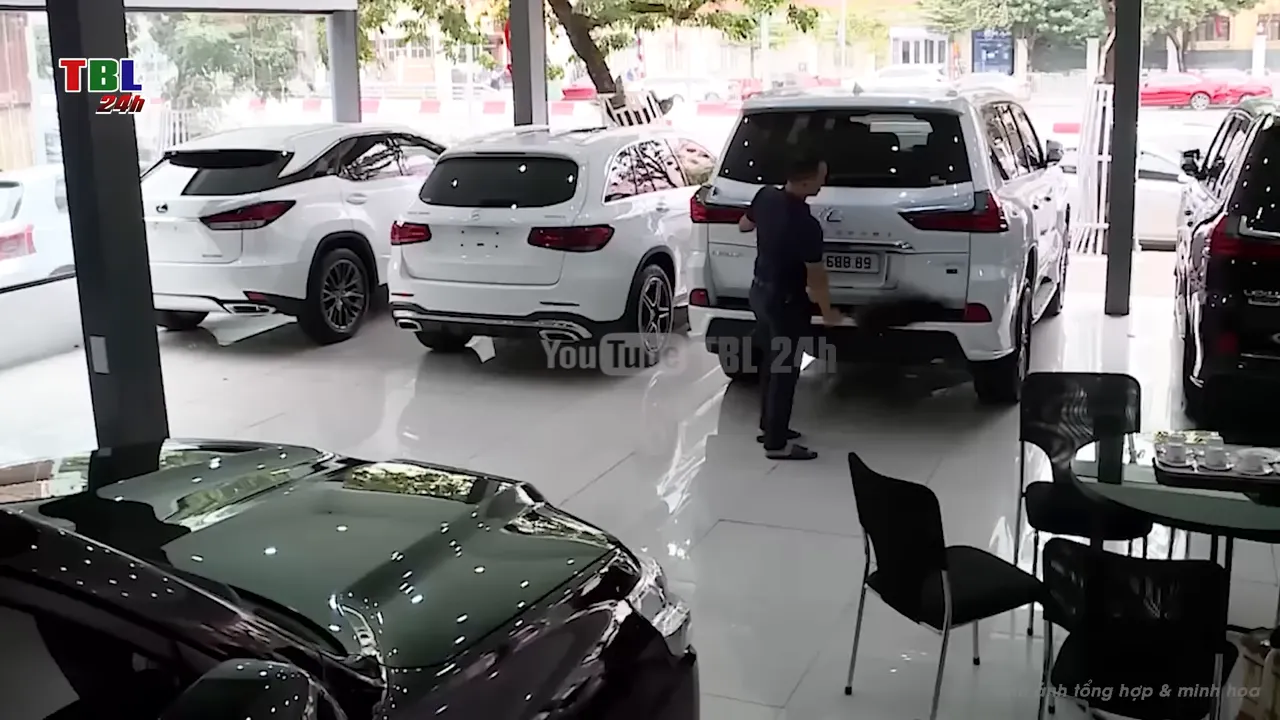 Không gian showroom với nhiều xe thể thao đa dụng màu trắng đỗ gần cửa kính